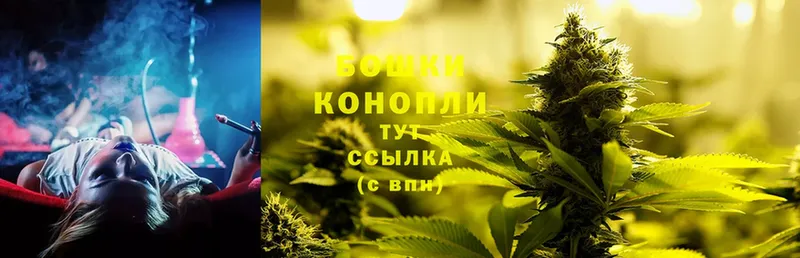 Бошки Шишки OG Kush  Казань 